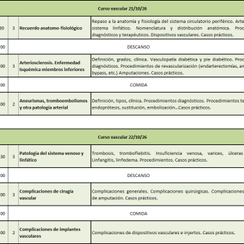 Codificación con CIE 10 de Patología y Procedimientos Vasculares 2026 - Edición laborables, 21 y 22 de Octubre